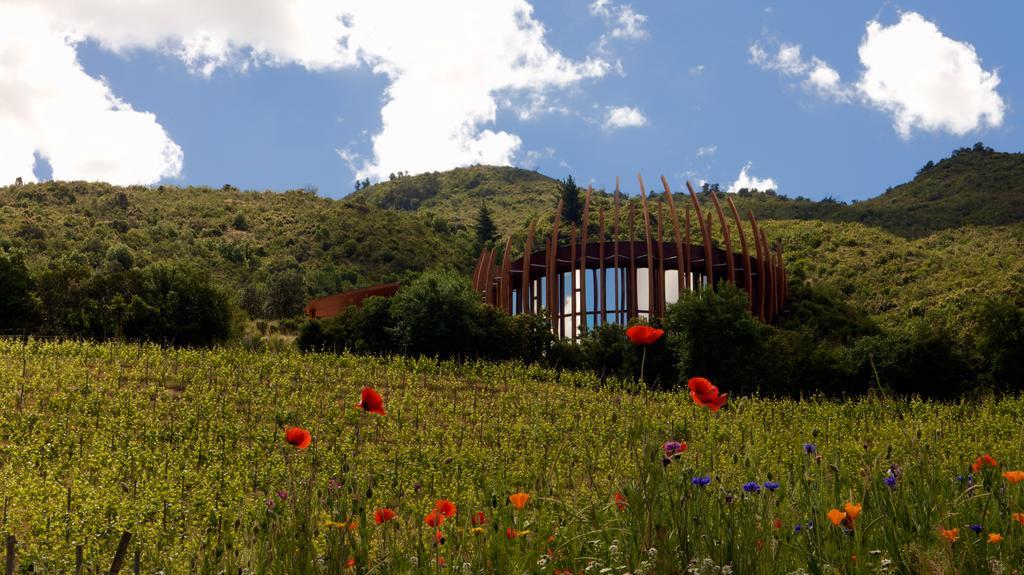 Clos Apalta Residence Relais & Chateaux Santa Cruz Exterior photo
